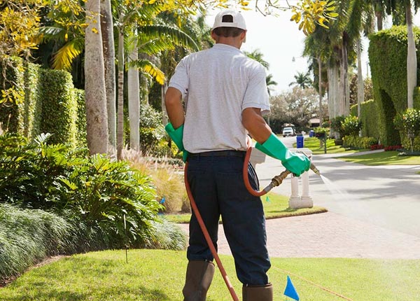 About Wahiawa HI Pest Control